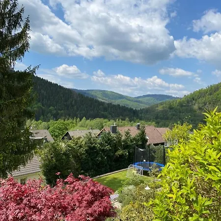 Hills Hut Ferienhaus *